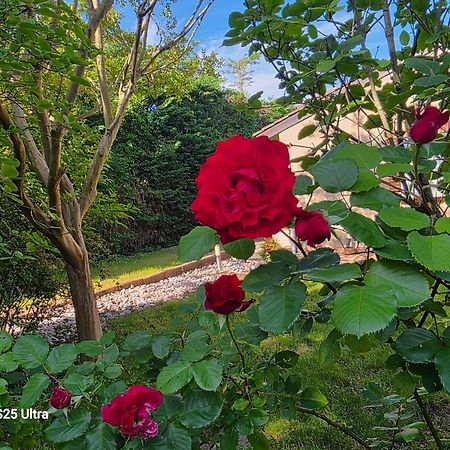 La Villa des Violettes Tolosa Esterno foto