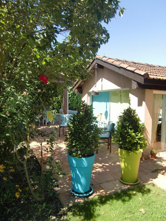 La Villa des Violettes Tolosa Esterno foto