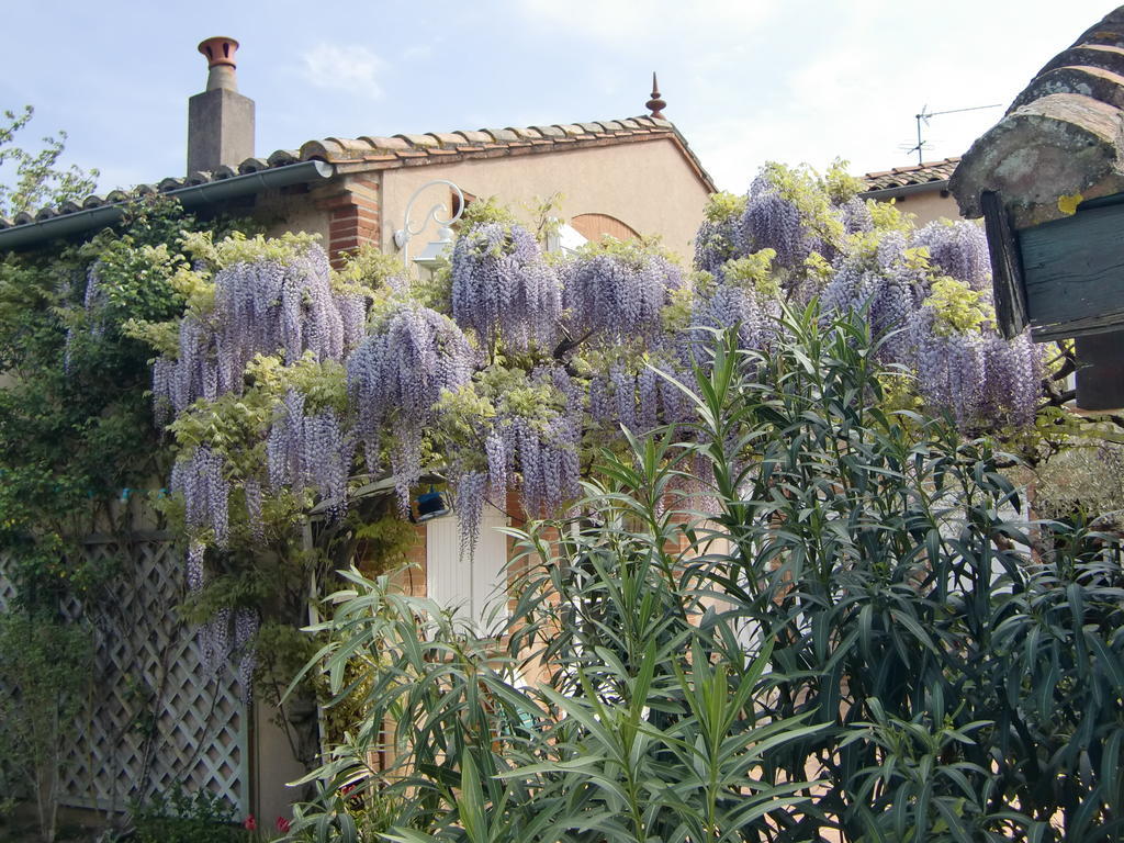 La Villa des Violettes Tolosa Esterno foto