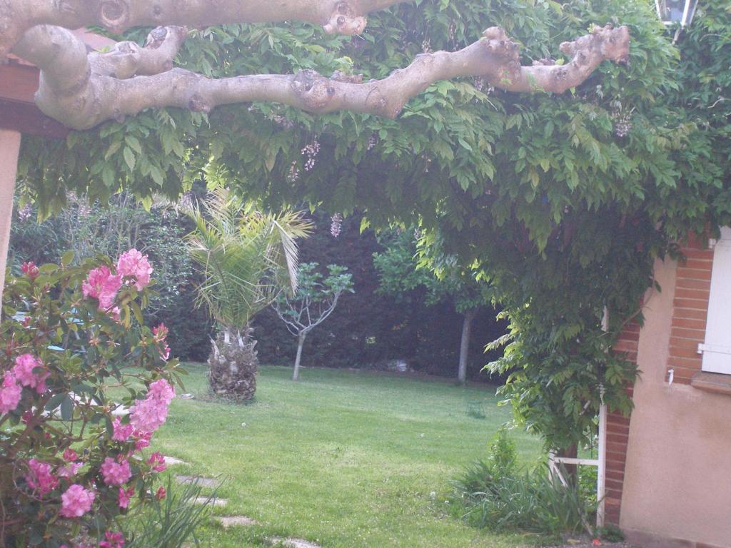 La Villa des Violettes Tolosa Camera foto
