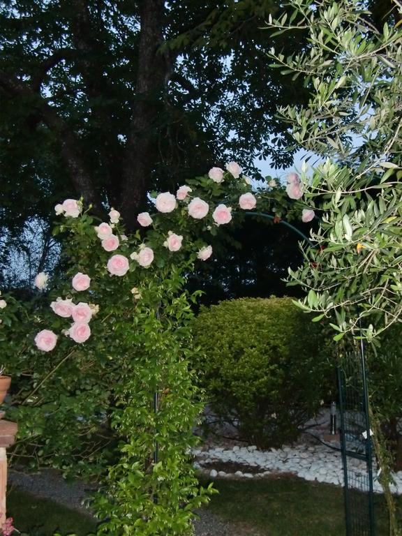 La Villa des Violettes Tolosa Esterno foto