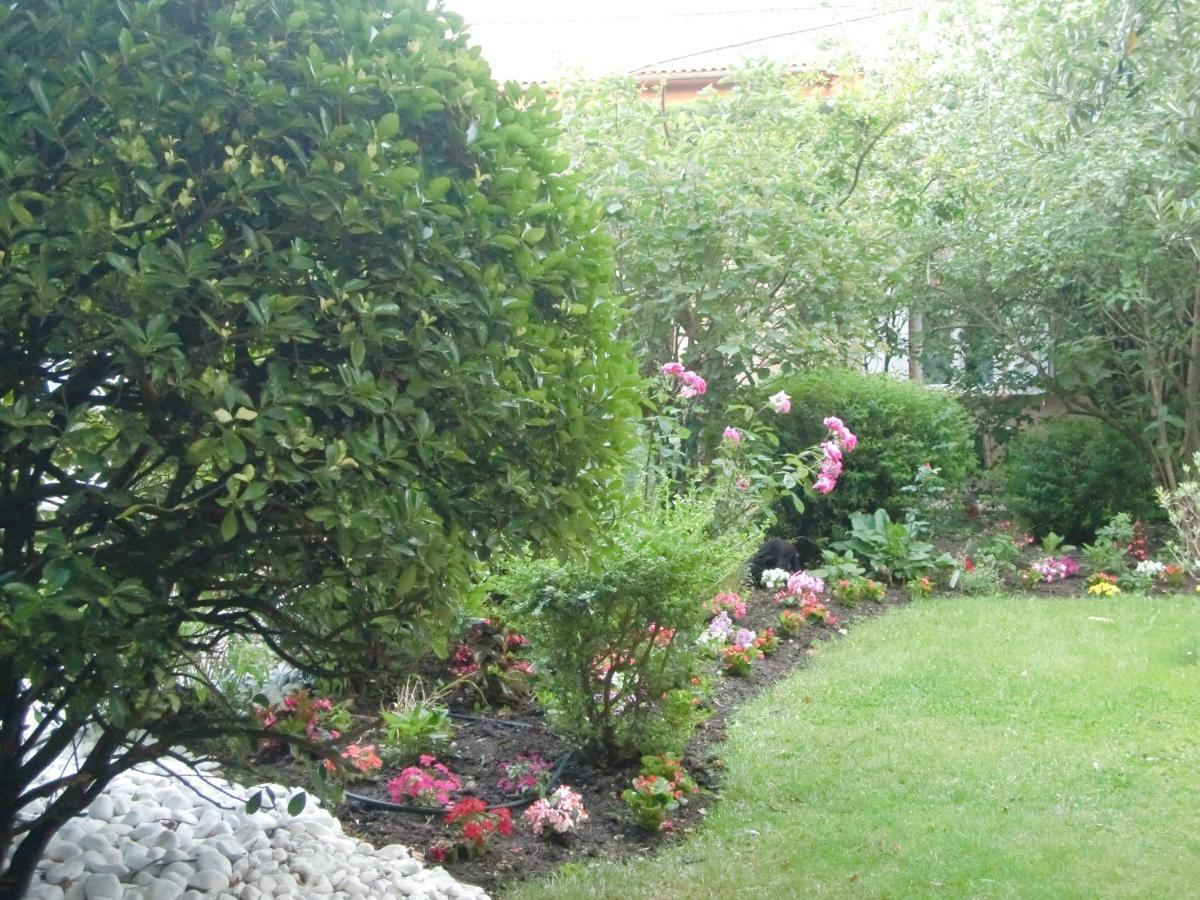 La Villa des Violettes Tolosa Esterno foto